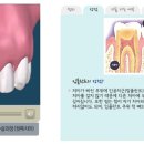 화이트치과 이미지