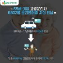 지난해 교통사고 사망률 ‘역대 최저’ 기록한 일본, 비결은 무엇일까? 이미지