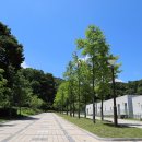 오가낭뜰 족구장 이미지