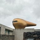 우주오리 | 제주도 저지문화예술인마을 숙소 우주오리 (Nest룸) 후기