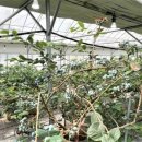 세광농장 이미지