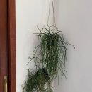 집 머무는 이미지