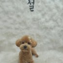 설 grooming 이미지