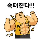 나비약국 네이버블로그