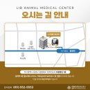 부산 리브동물의료센터 이미지