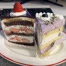 드뎌 미사케이크 맛집 찾음! 내돈내산(feat.케이크집했던 사람추천=나)