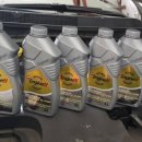 MS골드모터스 이미지