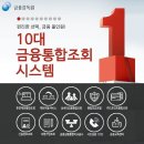 [금융감독원] 10대 금융통합조회 시스템 이미지