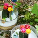 훈민정음 작은도서관 이미지