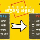 반값애견 이미지