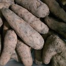 조미영농장 이미지