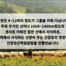 엠퍼씨 - 서초구 | 엠퍼씨