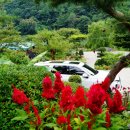 송계계곡민박 이미지