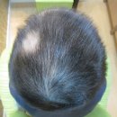 조암경희한의원 이미지