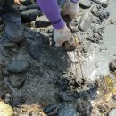 풍도_어촌체험마을 이미지