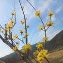 희수농장 이미지