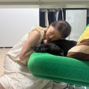 오스트리아캠핑 | ⛺️캠핑 | 가평 오스트리아캠핑장(C4사이트) 이용후기 - 수영장, 운무와 함께 했던 폭염캠핑...^^