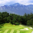 회원프라자 이미지