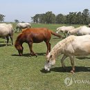 초원산업 - 여주시 | 초원산업