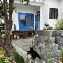 밤비노집 | 남해 가성비 감성 숙소 밤비노집 2인룸 후기 (+무료조식)