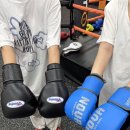 제로복싱 이미지