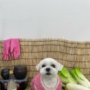 개린이살롱 이미지