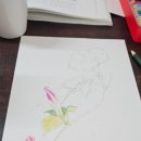 손불농장 이미지