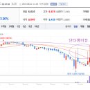 동원냉장㈜ 이미지