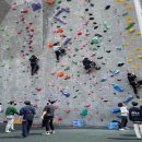 국제클라이밍센터 암벽장 이미지