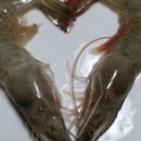 송림수산 이미지