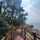 해파랑길 4코스 이미지