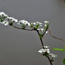 청림원 - 전주시 완산구 현무3길 77-48 | 청림원