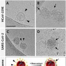쓰리에스 이미지