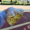 경남지적발달장애인복지협회 진주시지부 이미지