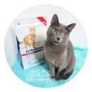 린메딕스 | 닥터힐 메딕스 유리너리 트랙트 / 고양이 처방식 사료 / 고양이 방광염 처방식 사료 / 고양이 방광염...