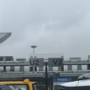 제주돈사돈 - 달서구 구마로 59 | 제주도 1박2일 여행｜운화당, 돈사돈 흑돼지, 양씨네제주전복칼국수 후기