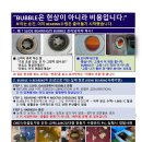 BUBBLE는 현상이 아니라 비용이다 이미지