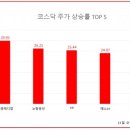 KD메디칼 이미지