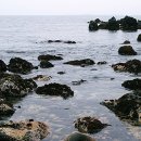 파도향기 이미지