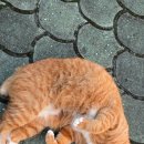 재복 | [221] 정신과 단약, 재복용 후기