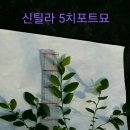 (주)누리팜 이미지