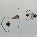 가장자리 이미지