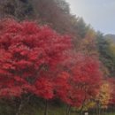 진주시산림조합