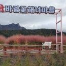 속초해녀마을(바람꽃해녀마을) 이미지