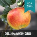 봉화산골마을