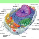 수피부과  의원 이미지