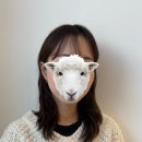 혜:룸