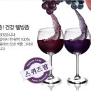짠 이미지