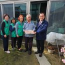 계란마을 이미지