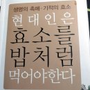 효소지음 이미지